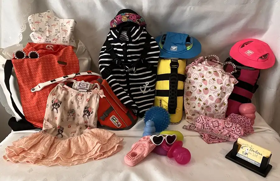 flyingtoutou baignade