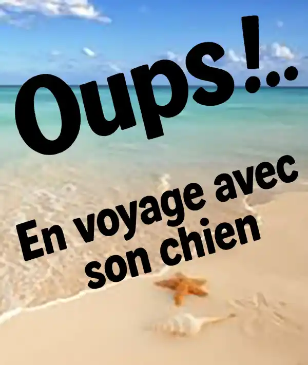 flyingtoutou Harold Leclerc