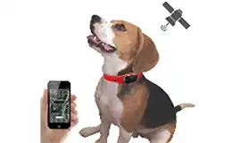 Santé, sécurité et propreté