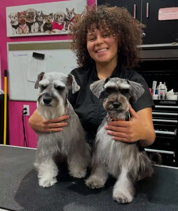 flyingtoutou Shakira Champigny.webp