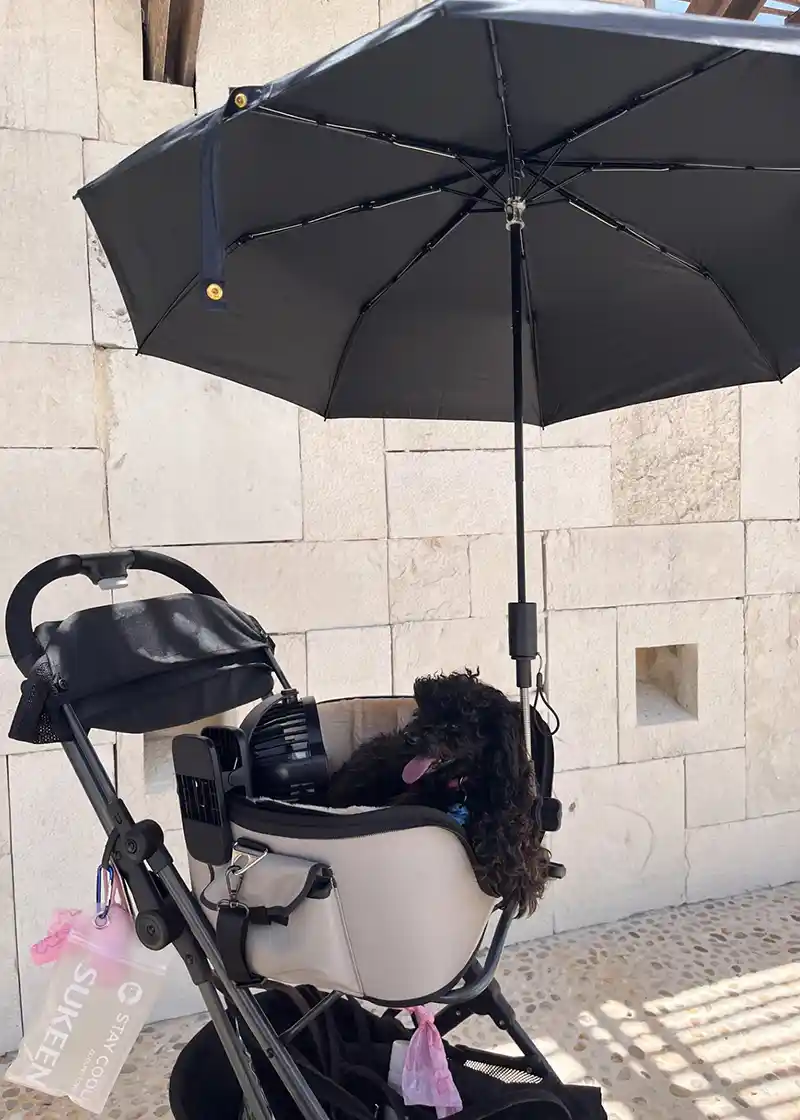 flyingtoutou soleil 3