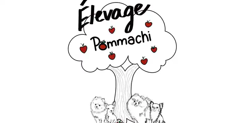 Élevage Pommachi