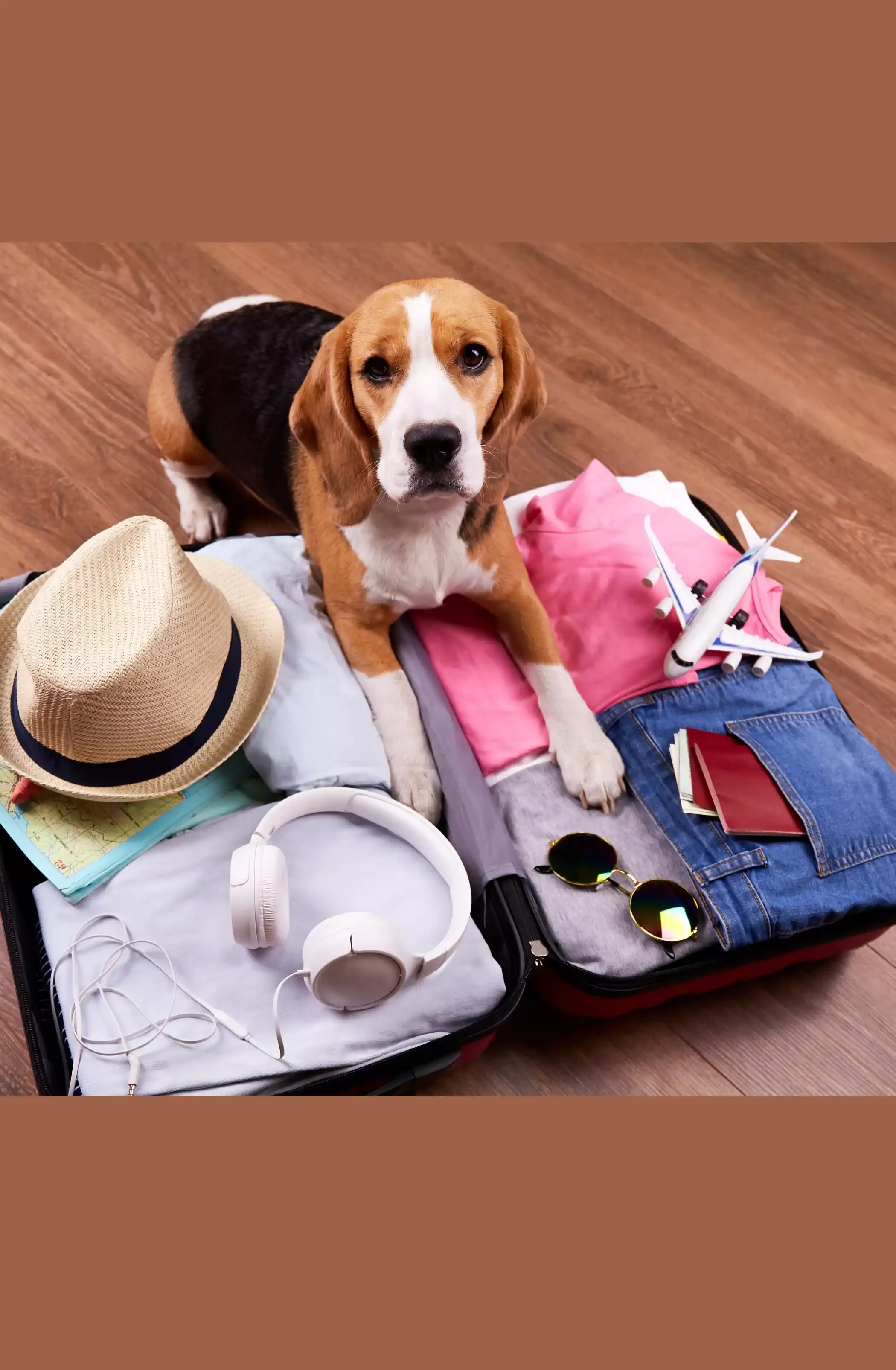 Sac de transport cabine